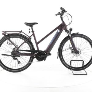 Pegasus Solero Evo 9 Trekking E-Bike