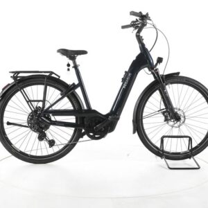 Pegasus Premio EVO 11 "40 Years" Trekking E-Bike Tiefeinsteiger