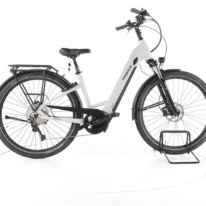 Pegasus Savino EVO FS10 Lite City E-Bike Tiefeinsteiger