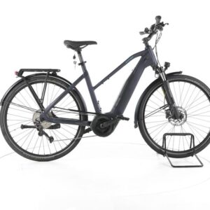Carver Route E. 420 Trekking E-Bike