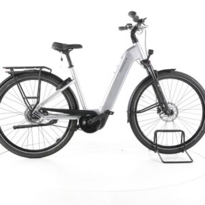 Pegasus Litte Trekking Premio Evo City E-Bike Tiefeinsteiger 2024
