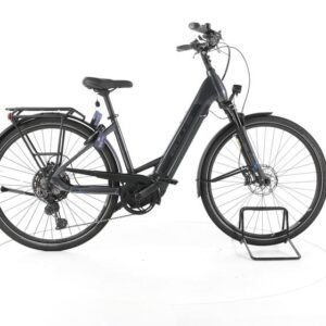 Bulls Lacuba EVO 11 Trekking E-Bike Tiefeinsteiger