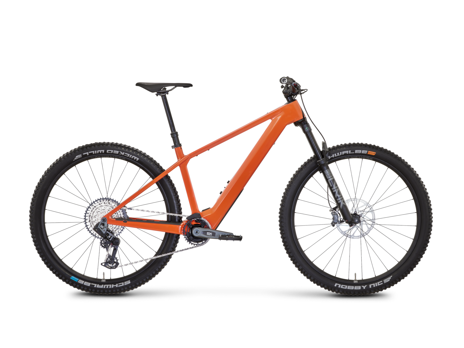 Rose Bonero Plus 3