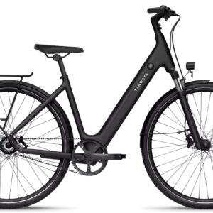 E-Bike  - Tenways CGO800S schwarz   - Einheitsgröße