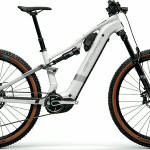 E-Bike Centurion Numinis R2000 2026 M_Grau frei Haus