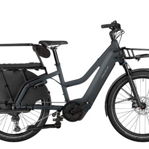 Riese & Müller Multicharger3 Family 625 Wh Damen Mixte grau