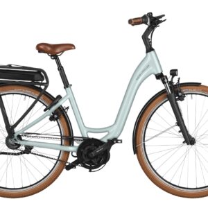 Riese & Müller Swing4 Rücktritt 500 WH Damen grün