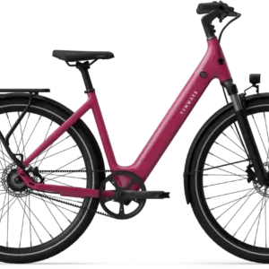 E-Bike  - Tenways CGO800S wild berry   - Einheitsgröße