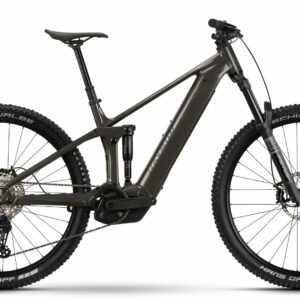 Raymon KORAK PRO - 29" 800 Wh - pipegrey/black