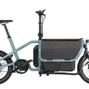 E-Bike    - Riese und Müller Carrie vario