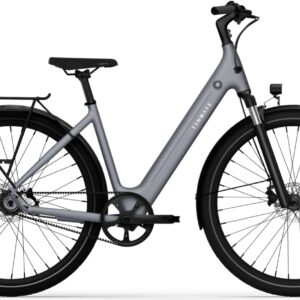 E-Bike  - Tenways CGO800S grau   - Einheitsgröße