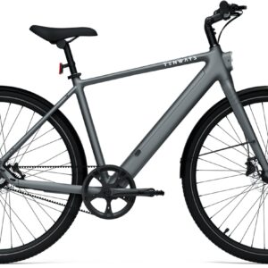 E-Bike  - Tenways CGO600 Pro Classic grau   - 54 cm