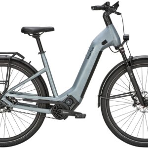 E-Bike  - Pegasus Estremo Evo 12 Lite   - 45 cm