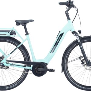 E-Bike  - Pegasus Solero E8R Plus Wave grün   - 55 cm