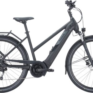 E-Bike    - Pegasus Solero EVO 9 trapez   - 45 cm