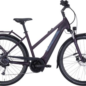 E-Bike    - Pegasus Solero EVO 9 trapez berry   - 45 cm