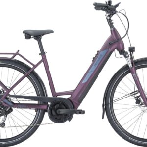 E-Bike    - Pegasus Solero EVO 9 Wave berry   - 55 cm