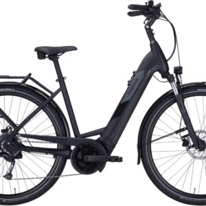 E-Bike    - Pegasus Solero EVO 9 Wave   - 45 cm