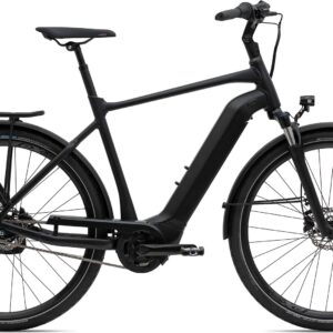 Giant DailyTour E+ 2 GTS - L