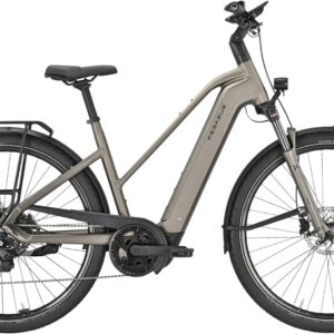 E-Bike  - Pegasus Premio Evo 10 Lite unisex   / Akku: 800 Wh  - 50 cm