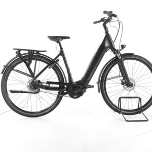 Giant DailyTour E+ 2 City E-Bike Tiefeinsteiger