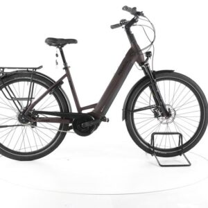 Pegasus Strong EVO 5R City E-Bike Tiefeinsteiger