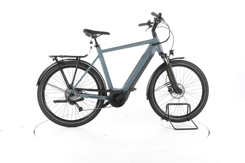 Winora Sinus 9 Trekking E-Bike