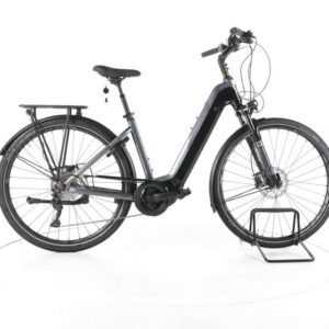 Conway Cairon T 300 Trekking E-Bike Tiefeinsteiger