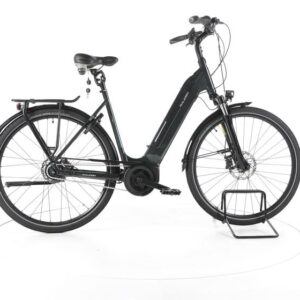 Raleigh Bristol 8 City E-Bike Tiefeinsteiger