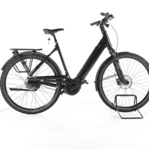 Liv Allure E+1 City E-Bike Tiefeinsteiger