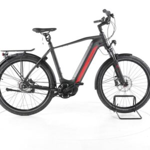 Victoria eAdventure11.9 City E-Bike