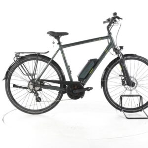 Triumph e-bird Plus 400 Trekking E-Bike
