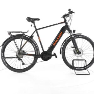 Raleigh DUNDEE LTD Trekking E-Bike