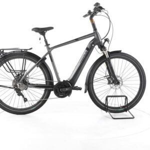 Pegasus Strong EVO 10 Trekking E-Bike