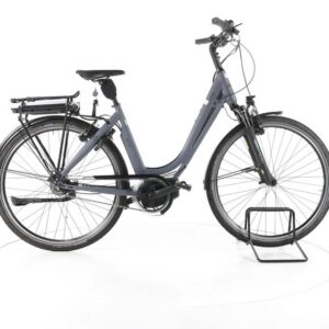 Campus BM10 City E-Bike Tiefeinsteiger