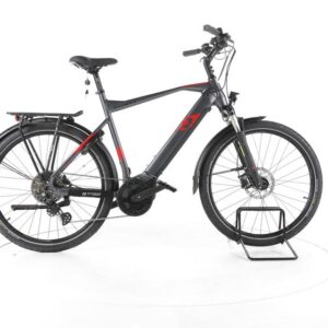 R Raymon TourRay E 6.0 Trekking E-Bike