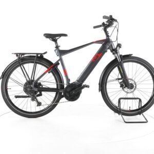 R Raymon TourRay E 6.0 Trekking E-Bike