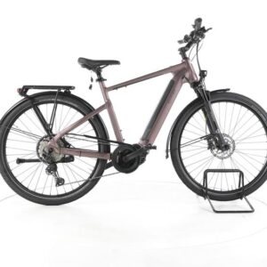 Carver Route E.530 Trekking E-Bike