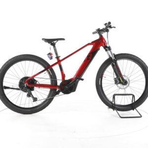 R Raymon Hardray E 4.0 E-Bike