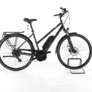 Triumph E-Bird Ultra Trekking E-Bike
