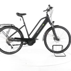 Saxonette Premium Sport Trekking E-Bike