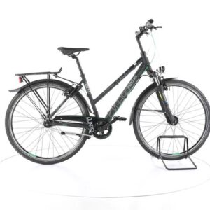 Green's Dundee ALL4Y Fahrrad City & Trekking