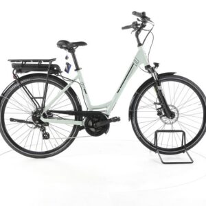Triumph e-bird Trekking E-Bike Tiefeinsteiger