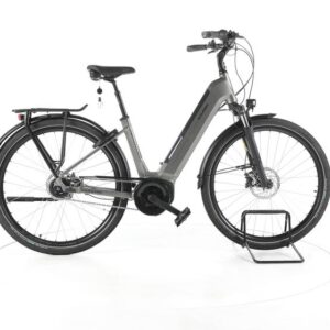 Raleigh Bristol City E-Bike Tiefeinsteiger