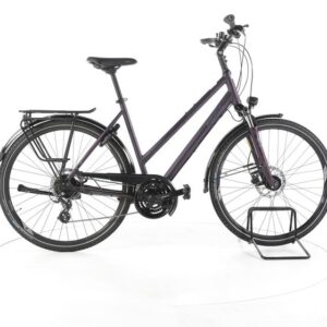 Pegasus Savona SL Disc 24 Fahrrad City & Trekking