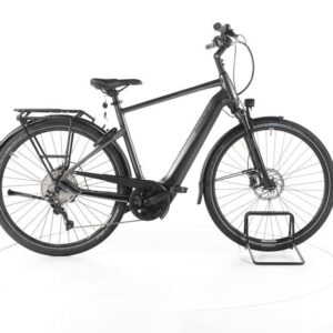 Pegasus Premio EVO 10 Lite Trekking E-Bike