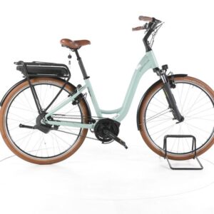 Riese & Müller Swing Automatic City E-Bike Tiefeinsteiger