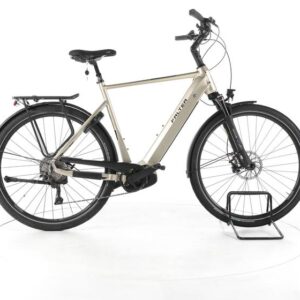 FALTER E 9.5 KS Trekking E-Bike