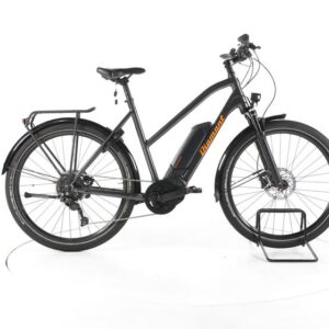 Diamant Zing Deluxe+ Trekking E-Bike