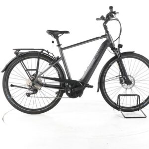 Pegasus Premio Evo 10 lite Trekking E-Bike